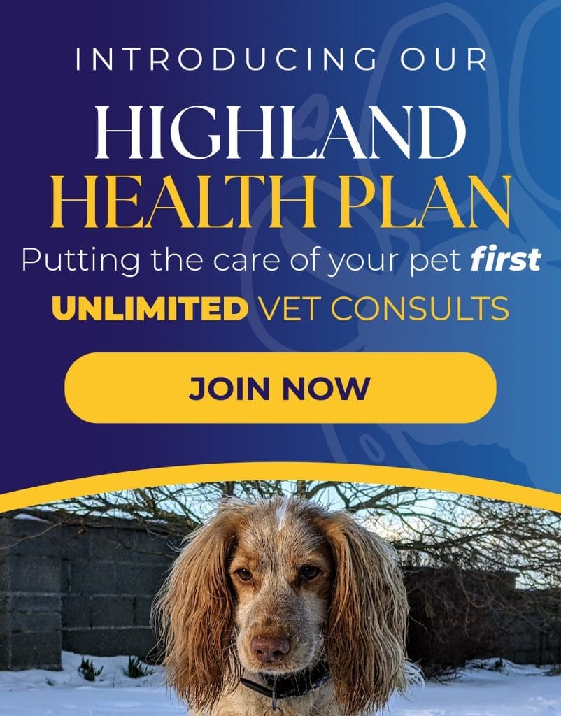Highland Healthcare Plan