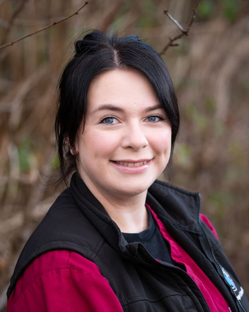 Abi Johnston